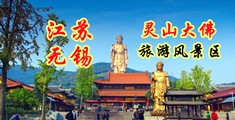 ribieang江苏无锡灵山大佛旅游风景区