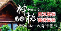 综合草逼网