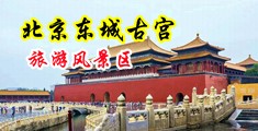 美女逼日骚中国北京-东城古宫旅游风景区